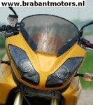 Tiger 1050 sport screen